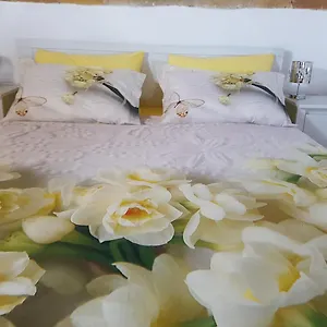  Bed and breakfast B&bittle